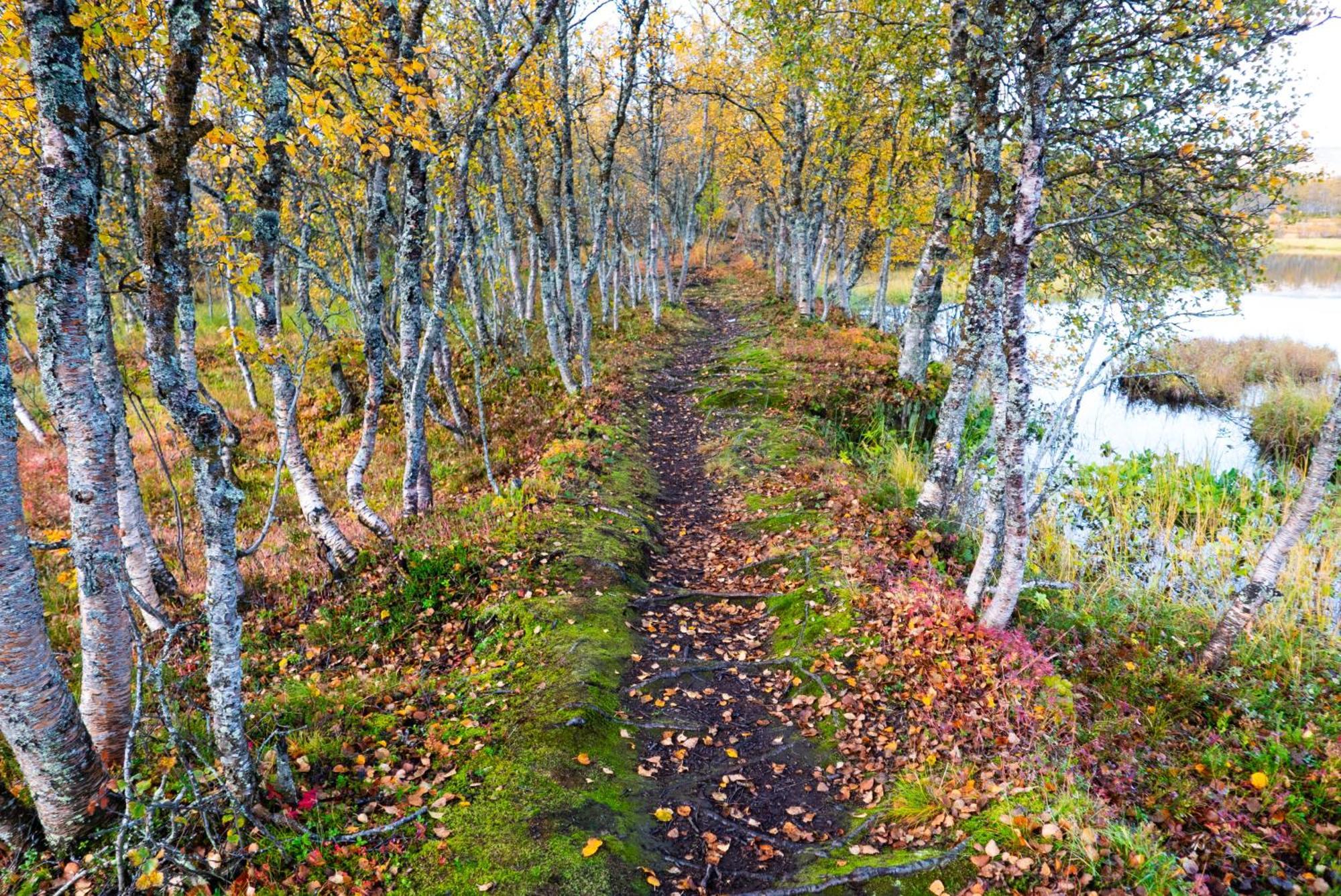 Arctic Retreat - Spacious Next To Amazing Nature Tromsø