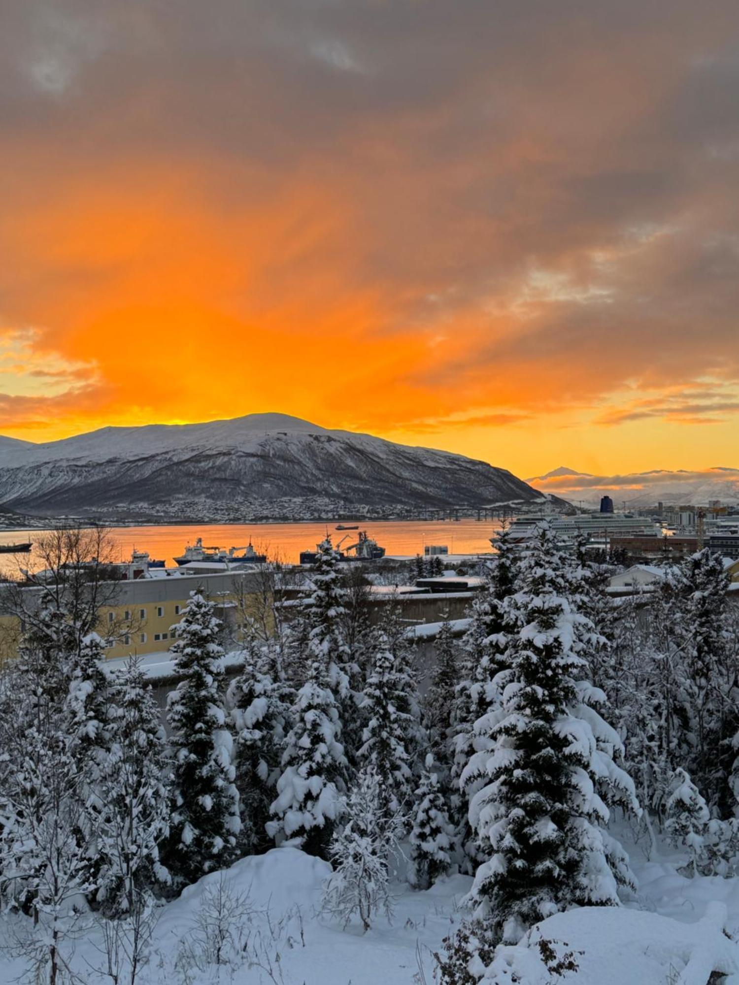 Appartement Arctic Retreat - Spacious Next To Amazing Nature *